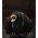Fenix TK20R UE SFT70 LED zsebl�mpa ARB-L21-5000 V2.0 Akkumul�tor Li-Ion