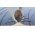 Careex kullancscsipesz 4x nagy�t�ssal �s LED vil�g�t�ssal, f�m fog�karokkal