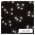 EMOS LED dekor�ci�s k�lt�ri �s belt�ri projektor, hull� h�pelyhek, feh�r
