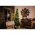 Konstsmide Micro LED belt�ri f�nyf�z�r 10LED melegfeh�r sz�rt 0,63m 3,63m 6340-120
