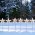 Lotti LED f�m csillag 6db/csomag 77294 feh�r 6x6LED id�z�t� IP44