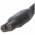 K�rcher t�lt� WV 50 Plus 5,5V 600mA h�l�zati adapter kompatibilis WV 60 Plus