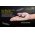 Nitecore TIP 2017 kulcstart� zsebl�mpa 360lm CREE XP-G2 S3