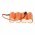 Helyettes�t� Akkumul�tor modell�p�t� Racing-Pack HHR-30SCPA21 4,8V 3000mAh Tamiya SC NiMH