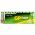 GP AA Mignon ceruza hagyom�nyos elem 1,5V 20db/csomag alk�li