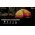 Nitecore LR60 Campbank 3in1 kempingl�mpa powerbank akkumul�tor t�lt�  280lm
