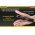 Nitecore EC20 zsebl�mpa CREE XM-L2 T6 960lm 1x18650/2xCR123A