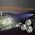 Fenix TK72R LED zsebl�mpa 7.2V 7000mAh Akkumul�tor Li-Ion