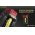Nitecore V2 aut�s gyorst�lt� 1 vagy 2 Akkumul�torhoz 12V 3A USB kimenettel