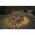 Konstsmide LED f�nykoszor�/-girlanda barna 3365-600 240 LED melegfeh�r k�lt�r