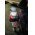 Led Lenser gyermek fejl�mpa, 40 lumen, lila