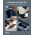 Goobay Akkumul�tormul�toros porf�v� 2000mAh 35000U/min 3 fokozat 5 tartoz�k Li-Ion
