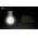 Nitecore TINI kulcstart� zsebl�mpa CREE XP-G2 S3 380lm 280mAh Li-Ion 6 sz�n